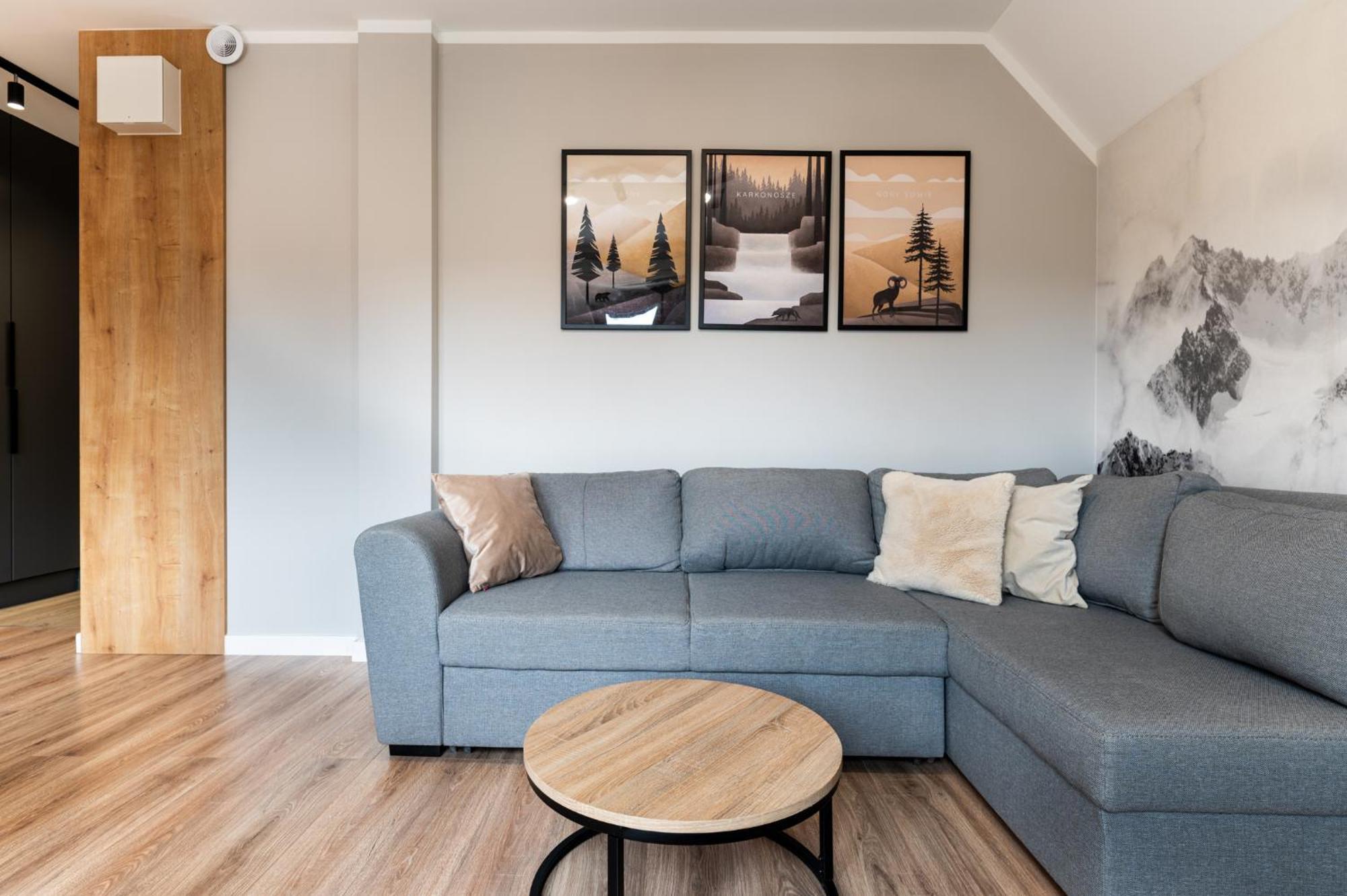 Apartament Dream View Spa シクラルスカ・ポレンバ エクステリア 写真